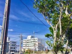 那覇市医師会那覇看護専門学校
