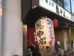 鳥やぶ