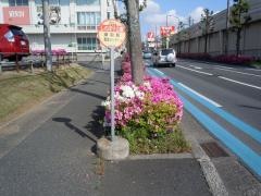 「しのぼり公園」バス停留所