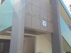 春
