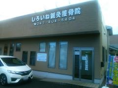 しろいね鍼灸接骨院