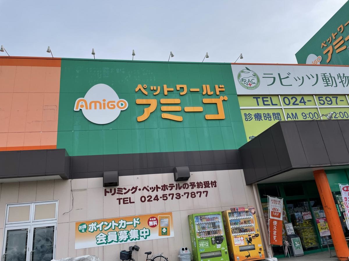外観
