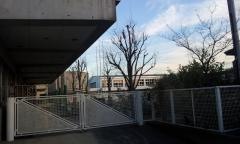 緑ケ丘小学校
