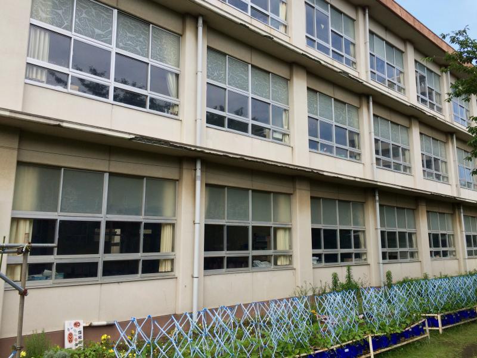 平塚 市立 崇 善 小学校
