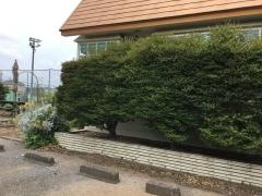 ミスタームーン