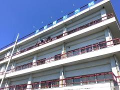 伊野整形外科医院