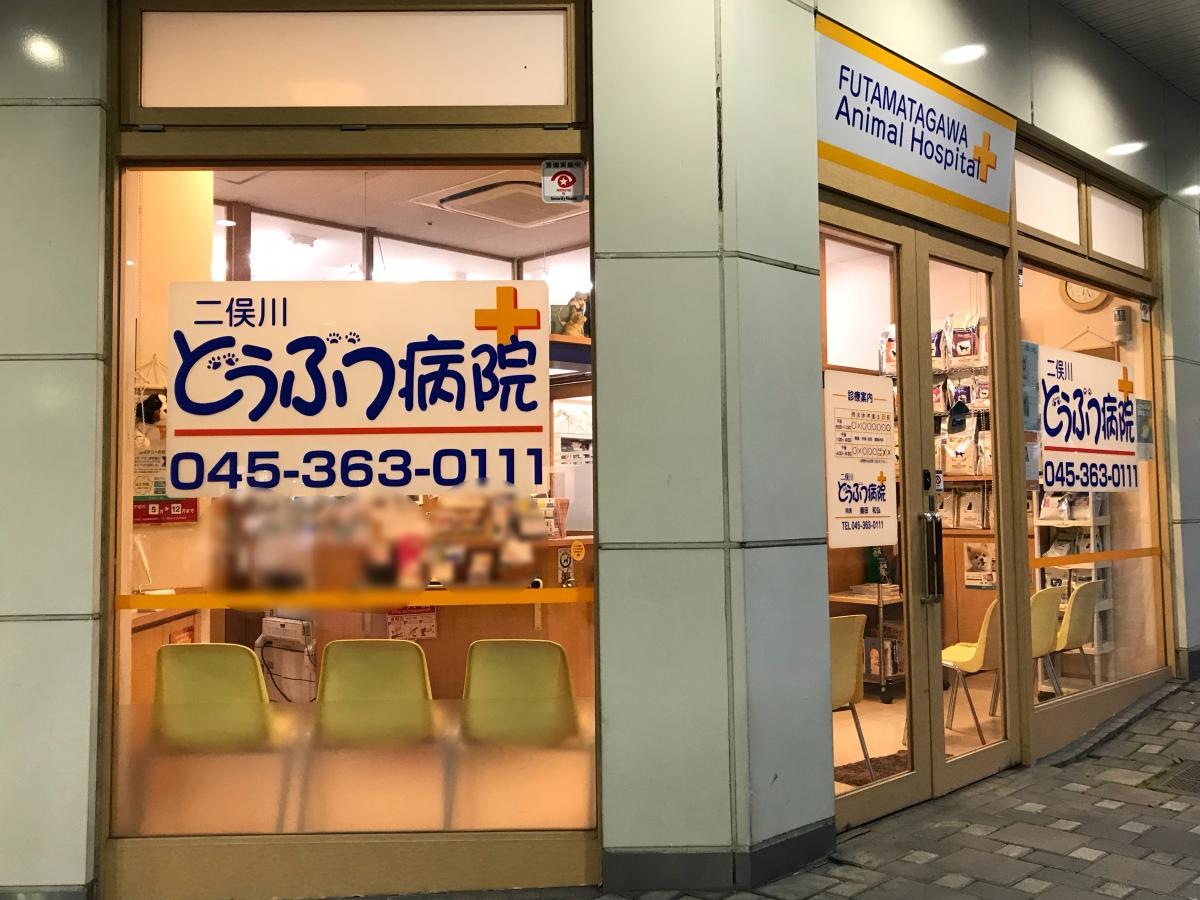 エントランス周り