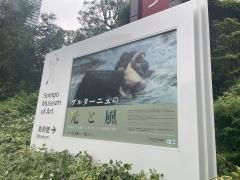 ＳＯＭＰＯ美術館