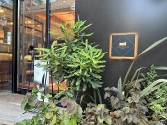 ｎｅｌ　ＣＲＡＦＴ　ＣＨＯＣＯＬＡＴＥ　ＴＯＫＹＯ