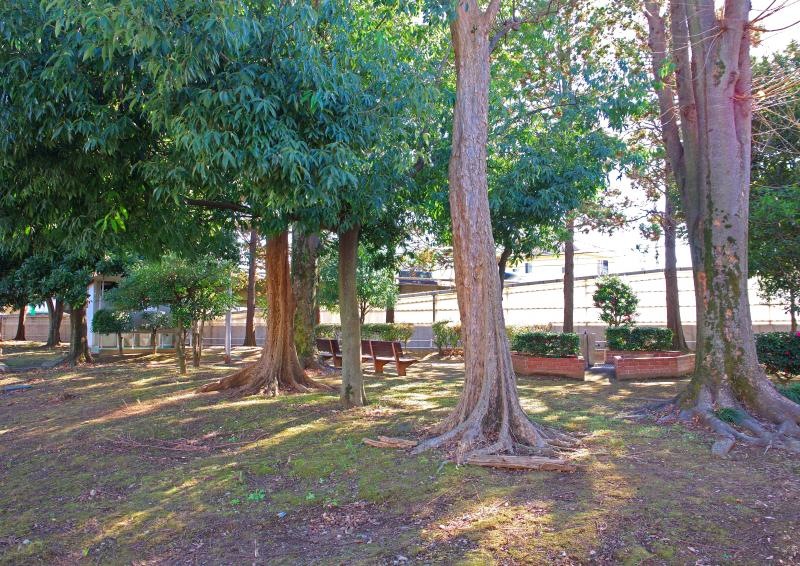 北側からの小桑原緑地