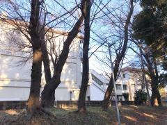 千葉市立加曽利中学校