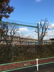 東伏見小学校