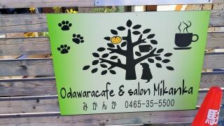Ｏｄａｗａｒａ・ｃａｆｅ＆ｓａｌｏｎ・Ｍｉｋａｎｋａ