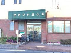 せきづか皮ふ科