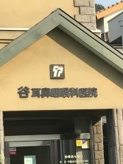 谷耳鼻咽喉科医院