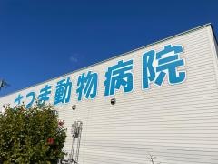 さつま動物病院