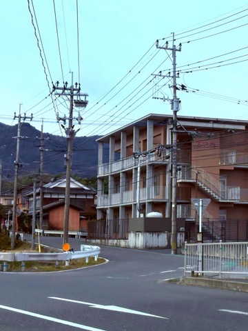 さつき