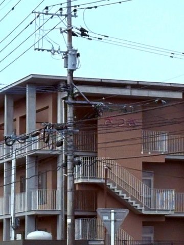 さつき 建物全景