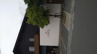 シベール　西店