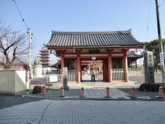 恵日山観音寺大宝院(津観音)