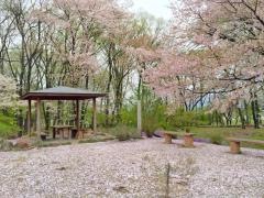 安中市観光公園