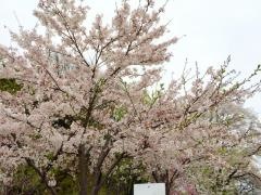 安中市観光公園