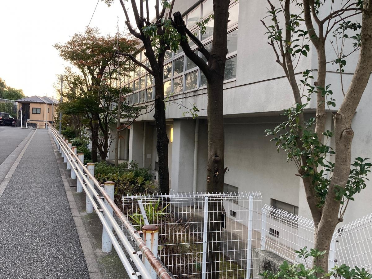倉田小学校の施設外観です。