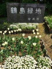 鶴島緑地