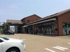 静岡トヨペット浜松東若林店