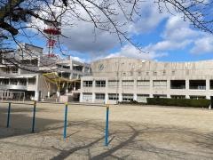 中央小学校