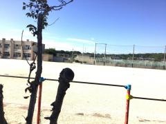 青谷小学校