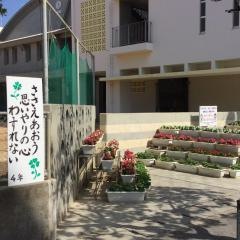 那覇小学校