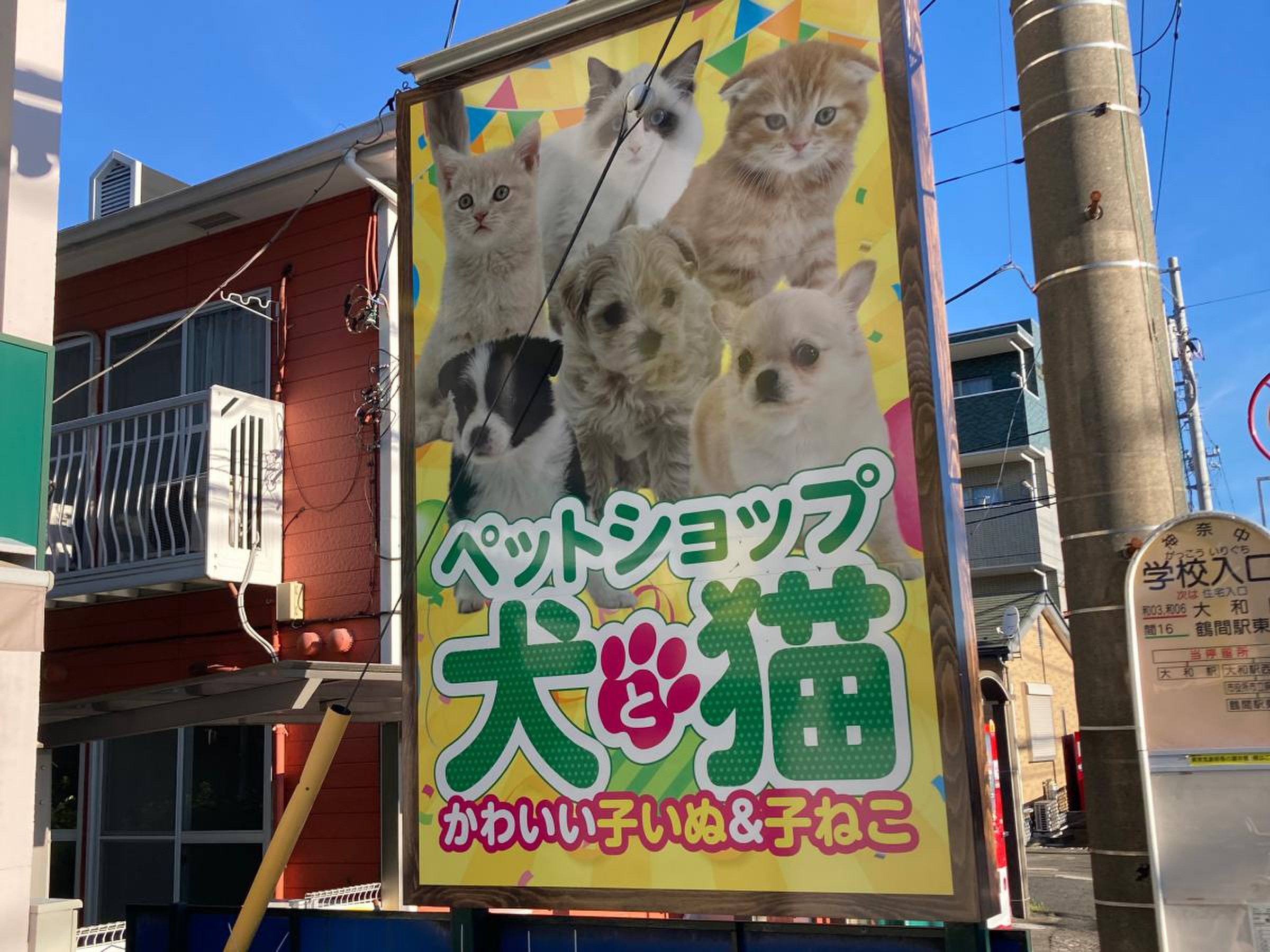ペット ショップ エンゼル 大和 店