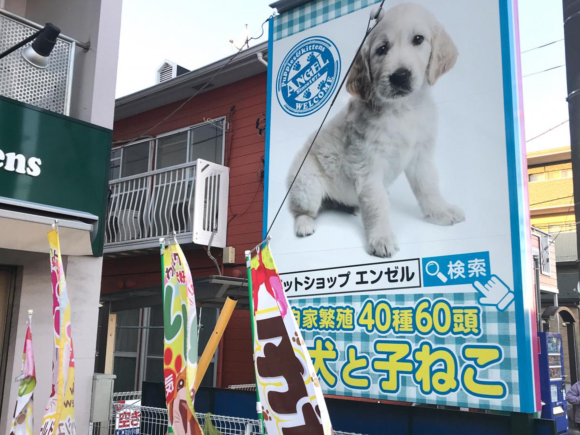 ペット ショップ エンゼル 大和 店