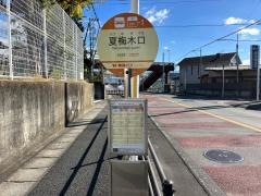 「夏梅木口」バス停留所