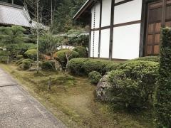 安養寺庭園