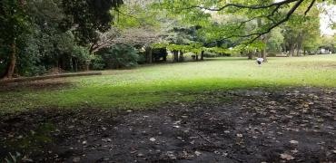 翠ケ丘公園