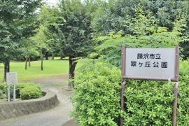 翠ケ丘公園