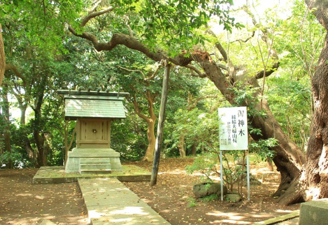 施設写真7