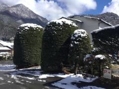 くつろぎの宿民宿さざなみ