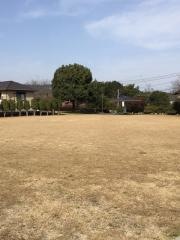 池亀公園