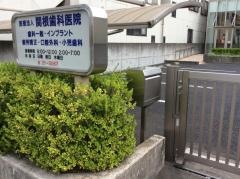 関根歯科医院