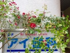 アイ歯科医院