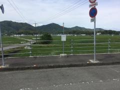 「芳原分岐」バス停留所