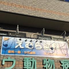 えむら歯科