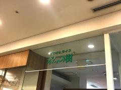 ポムの樹　アクアシティお台場店