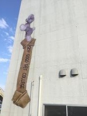 スカイ総合ペット専門学校