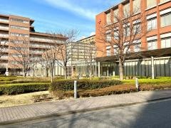 日本赤十字看護大学