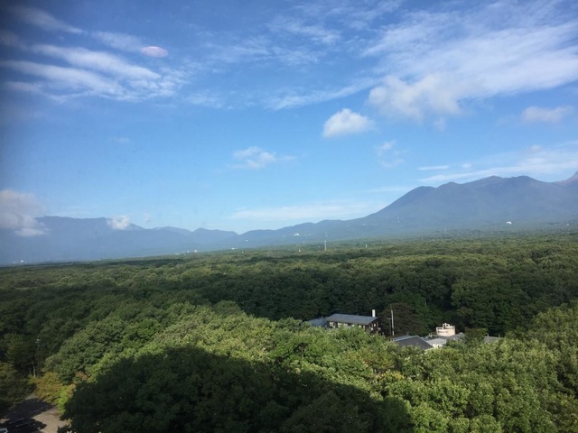 投稿写真1