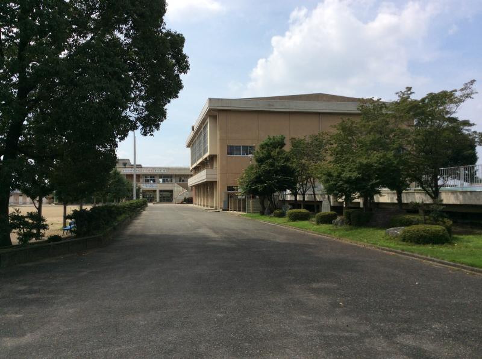 公の場での発言・インタビュー報道記録